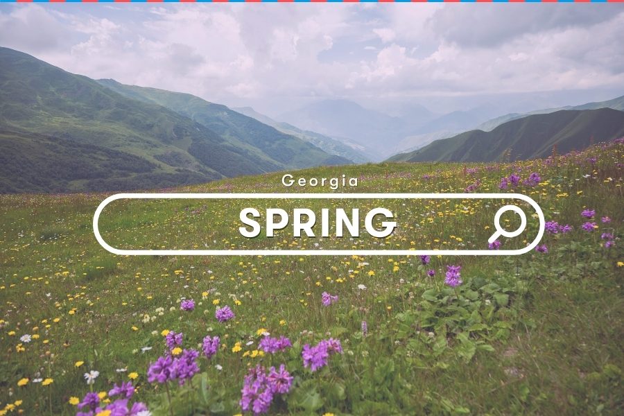 Georgia Seasons: Springtime